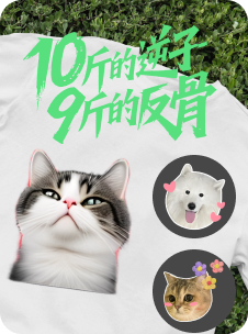 案例2